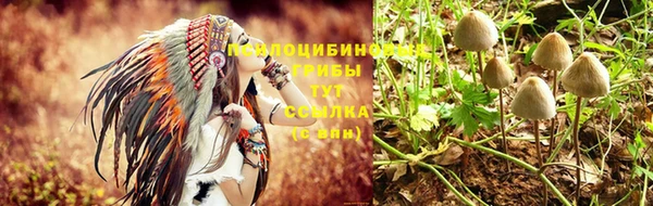 эйфоретик Богородск