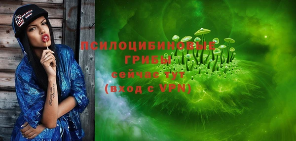 COCAINE Богородицк