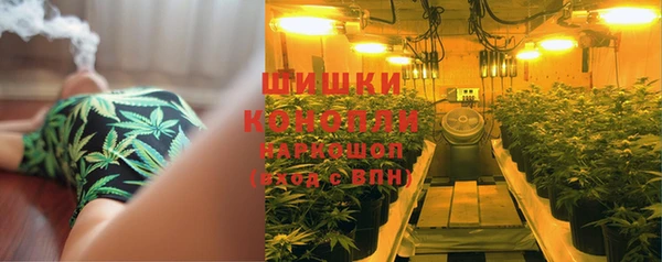 эйфоретик Богородск