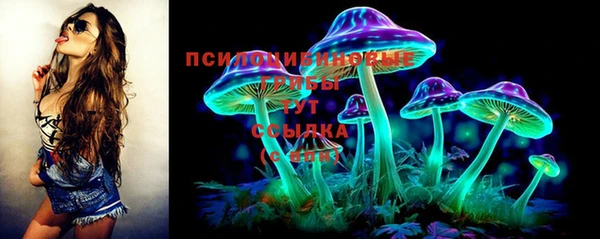 эйфоретик Богородск